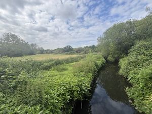 Photo 15- click for photo gallery